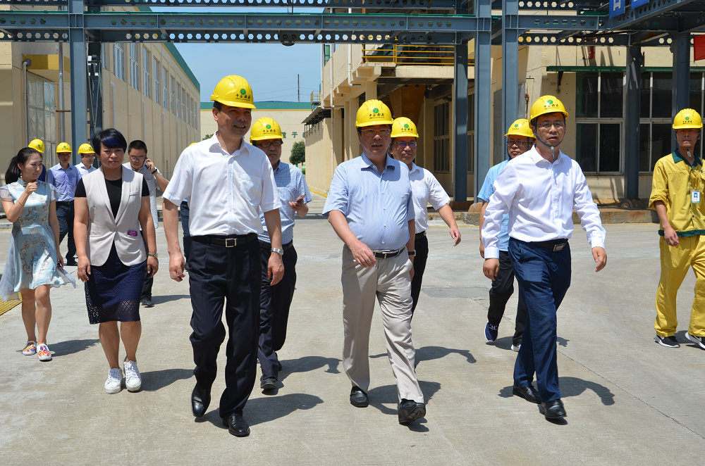 紹興市委書記馬衛(wèi)光一行視察浙江格派