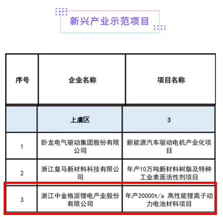 浙江格派入選浙江省“四個百項”重點技術(shù)改造示范項目計劃
